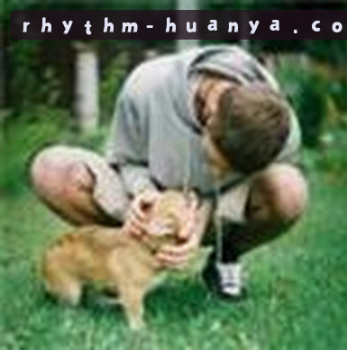 孙悦